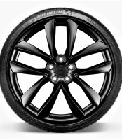 Диск колесный Model S Black Arachnid 21"